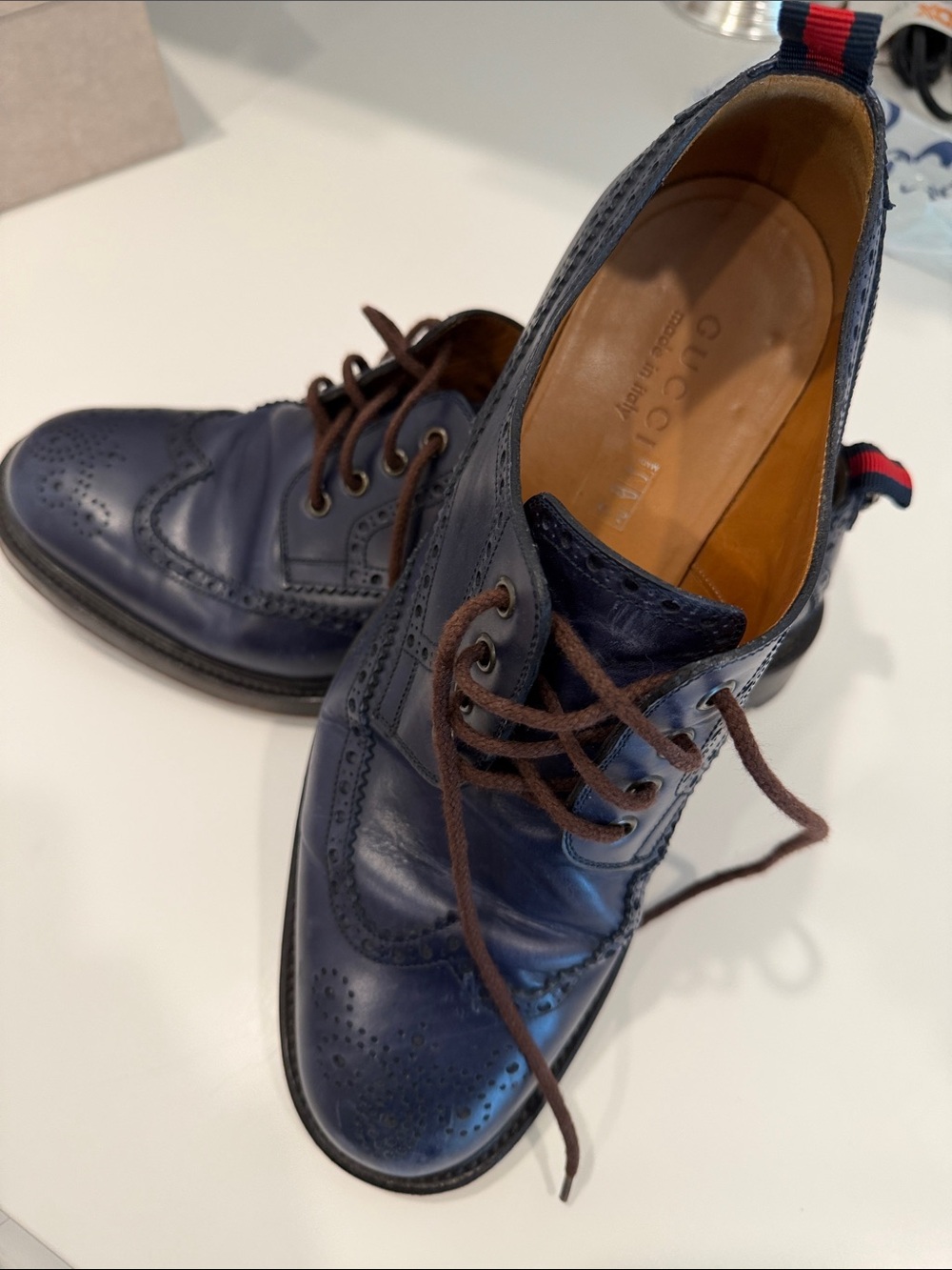 Gucci Navy Leather Wingtip Oxford with Brown Laces